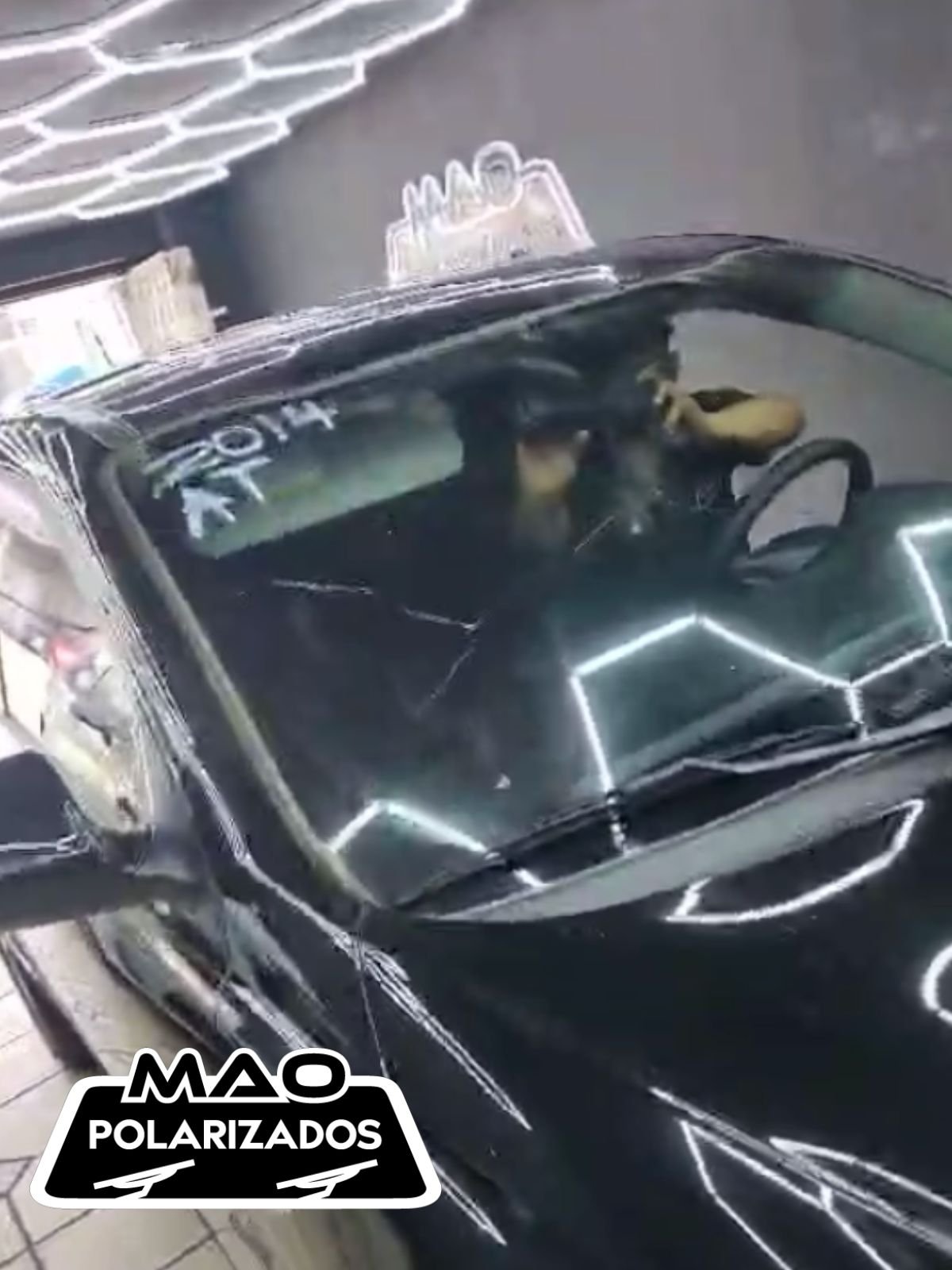 Parabrisas y polarizados MAO Parabrisas y polarizados MAO